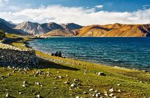 Ladakh Mesmerising Tour