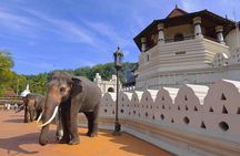 04 Days Tour - Sigiriya , Kandy and Nuwara Eliya