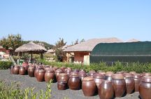 Andong Hahoe Folk Village Day Tour From Busan