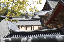 Gyeongju The UNESCO World heritage sites tour(Private tour)