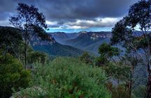 Ultimate Blue Mountains and Wildlife Tour