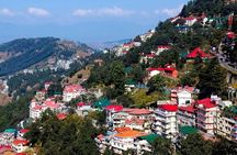 7 Days Tour of Shimla,Manali,Chandigarh from Delhi includes,Hotel & Vehicle