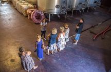 Alicante: Guided Winery Tour with 4 Tastings in the Countryside
