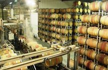 Private wine tour of Northern Israel