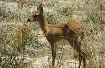 Hwange and Matopo National Park 5 nights Safari Tour