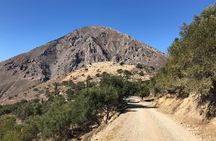 Richtis Waterfall, History, Azoria, OliveTasting, NorthCoast