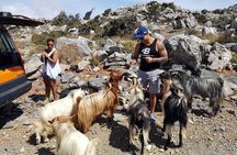 Zeus & Lassithi Plateau, OliveTasting, Kritza, Katharo, Pottery