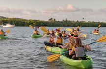 Bio Bay Night Kayaking with Transport from San Juan Area 