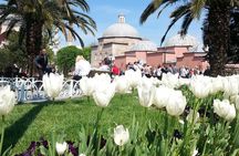 Istanbul Delights: A Journey Through Flavor and History