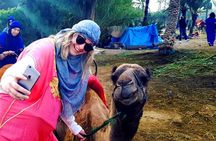 Camel Ride, Quad Bike Adventure and Spa Treatment in Marrakech