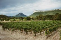 Hike to the top of "Pic Saint Loup", wine & food 