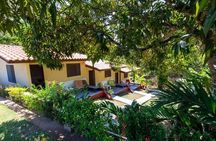 The Perfect 2 days Salvador and North Coast with 1 night Hotel