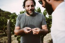 Bertrand Bosc wine and food tour in Pic St Loup