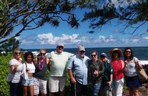 Road to Hana Adventure with Farm to Table Lunch in Town of Hana