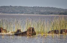 2-Day Maputo Special Reserve Guided Tour