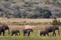 2-Day Maputo Special Reserve Guided Tour