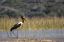 3-Day Guided Tour: Maputo Special Reserve