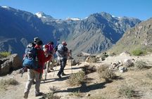 2-Day Custom Colca Canyon Trek from Arequipa