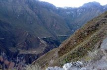 2-Day Custom Colca Canyon Trek from Arequipa