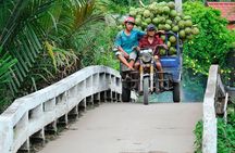 2-Day Small Group Cu Chi Tunnels, City Tour and Mekong Delta
