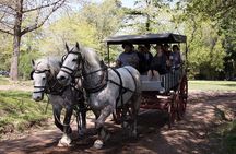 Private GAUCHO TOUR - FULL DAY TRIP Guided in EN, SPA or FR - Argentina