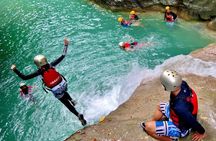 Cebu Whale Shark Interaction, Moalboal Sea Turtles, Sardines Run & Canyoneering