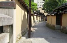 Kanazawa Full Day Tour (Private Guide)