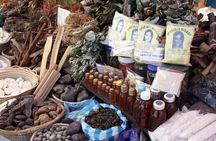 Top 10 Things to do in Durban City Tour