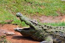 Safari & PheZulu Village Day Tour from Durban