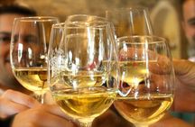 Alicante: Guided Winery Tour with 4 Tastings in the Countryside