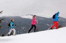Full-Day Snowshoeing in High Tatras with Local Mountain Guide from Poprad