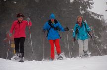 Full-Day Snowshoeing in High Tatras with Local Mountain Guide from Poprad