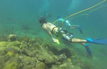 OCTOPUS DIVING (hookah diving) NO Experience Needed