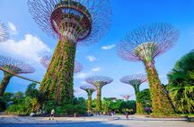 Kickstart Your Trip To Singapore With A Local: Private & Personalized