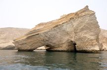 Oman Dolphin Watching Tours 