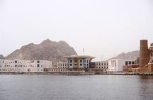 Oman Dolphin Watching Tours 