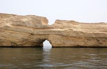 Oman Dolphin Watching Tours 