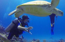  Experience Scuba Diving / NO certification Needed