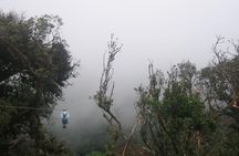 Zipline and Hanging Bridges Combo Tour in Monteverde Cloud Forest