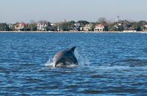 Afternoon Schooner Sightseeing Dolphin Cruise