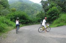 Blue Mountain Bicycle Tour from Kingston