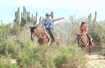 Horseback Riding Tour in Cabo San Lucas