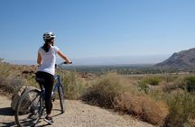 Palm Springs Indian Canyons Bike and Hike