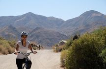 Palm Springs Indian Canyons Bike and Hike