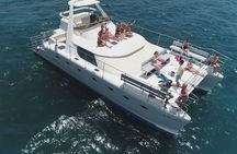 Whale and Dolphin Watching Catamaran with Transfer and Buffet 