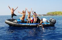 Kealakekua Bay Snorkeling Tour - 4 hour Kona Zodiac Adventure