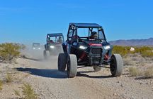 Mojave Desert Off Road RZR Tour in Las Vegas