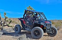 Mojave Desert Off Road RZR Tour in Las Vegas