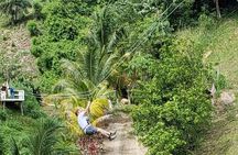 Full-Day Zipline Adventure and Beach Club Visit on Roatan Island, Honduras