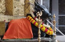 Old Bangalore Walk an immersive walking tour in Bangalore 